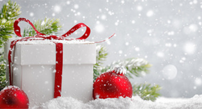Be safe and secure this Christmas | Brackmills Industrial Estate